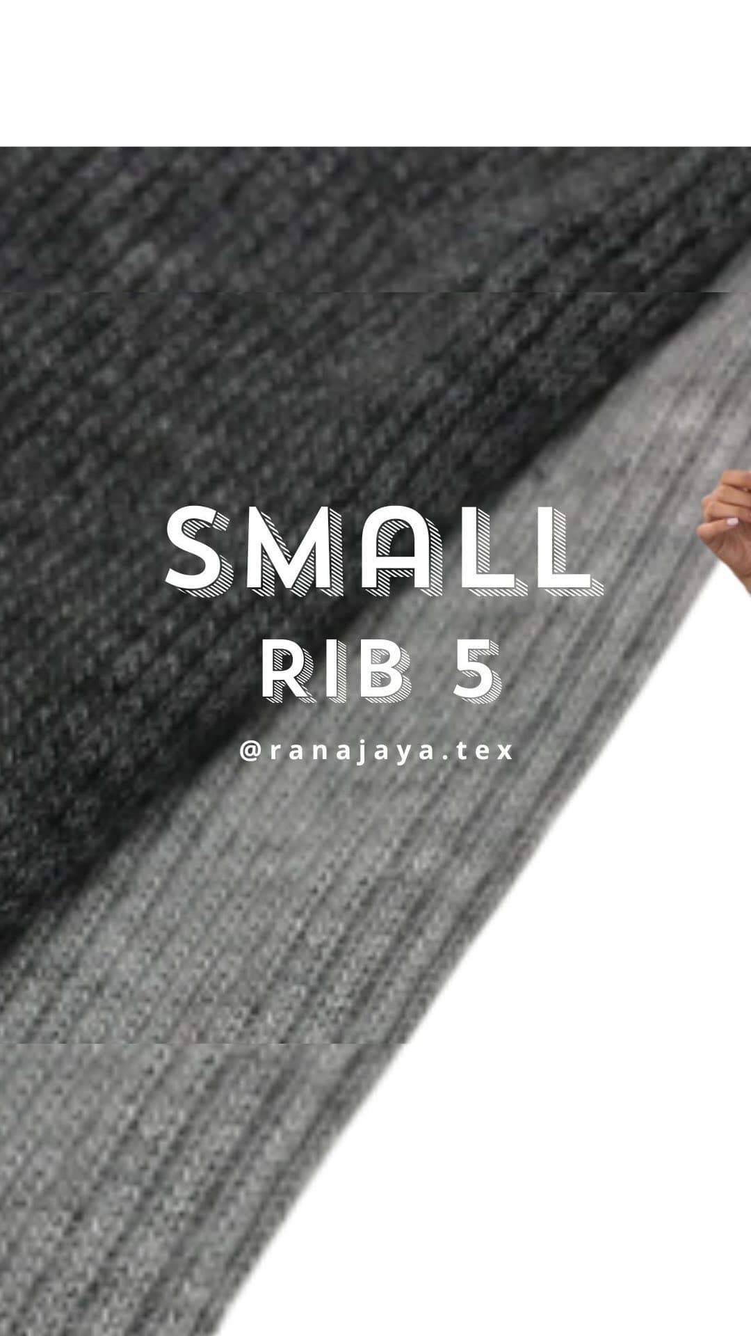 Small Rib 5 — Rib