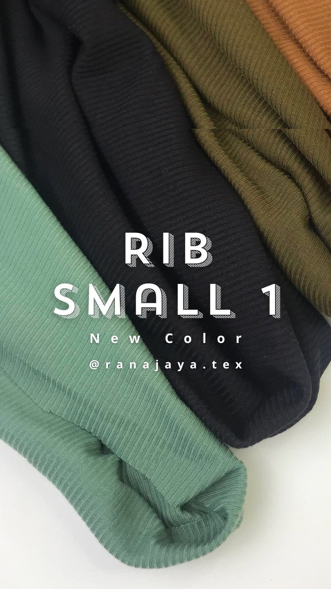 Small Rib 1 — Rib