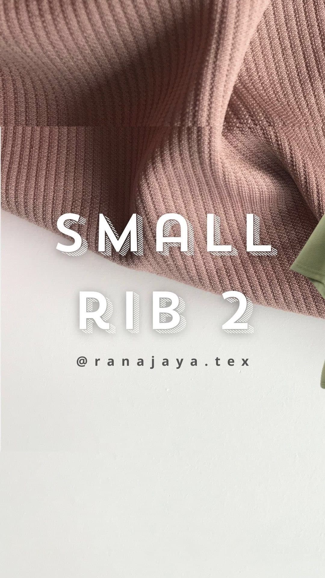 Small Rib 2 — Rib